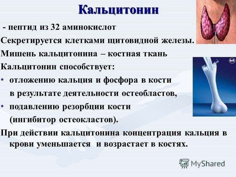 Кальцитонин норма у женщин таблица расшифровка результатов