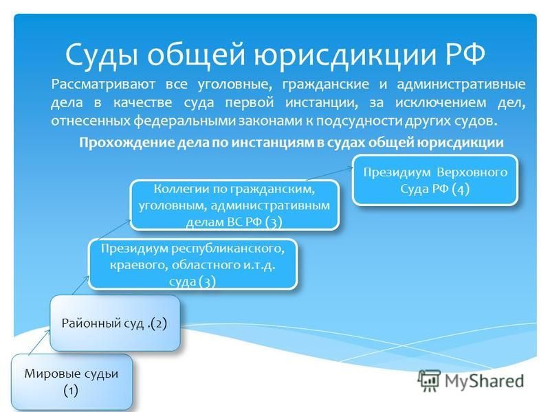 Деятельность судов общей юрисдикции примеры