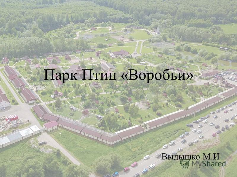 Парк Воробьи Фото