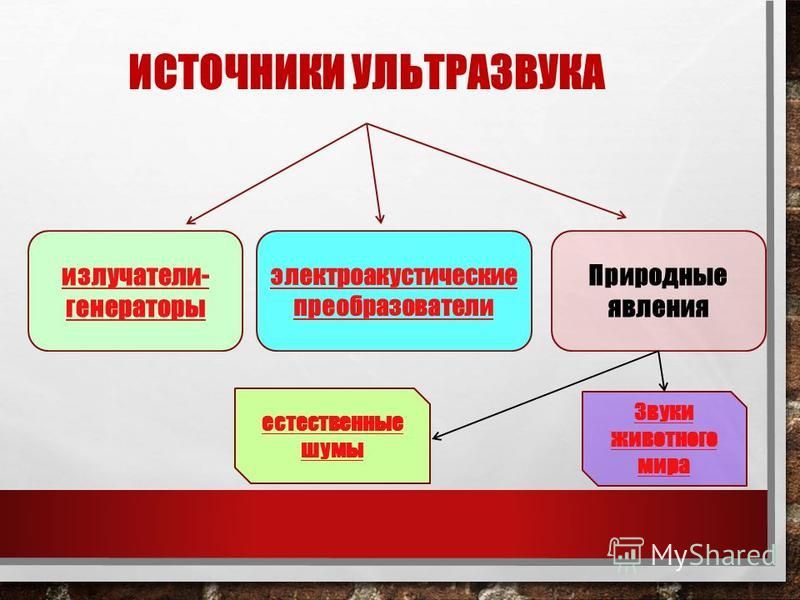 Ультразвук и его применение Ультразвук и его применение