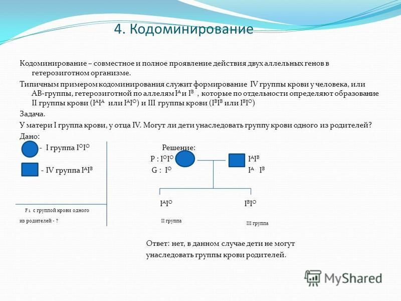 ПРЕЗЕНТАЦИЯ "Решение задач по генетике"