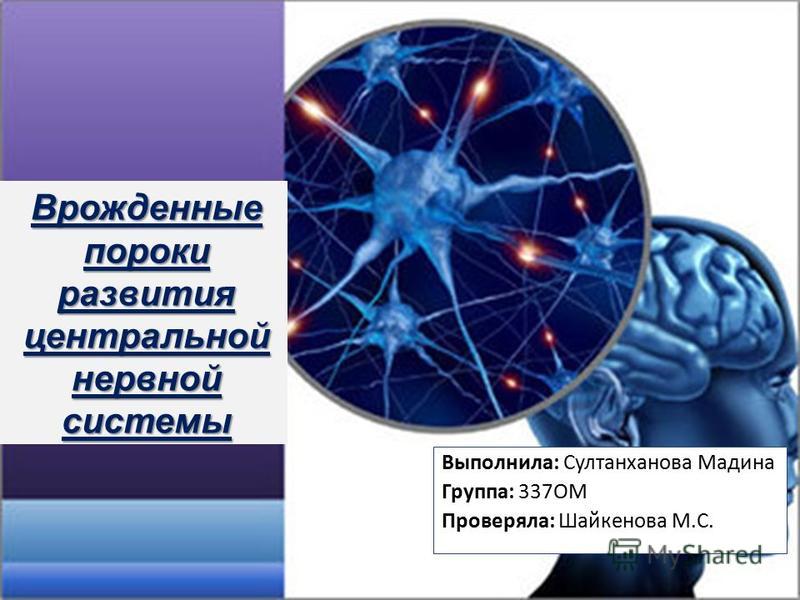 Врожденные пороки развития нервной системы презентация