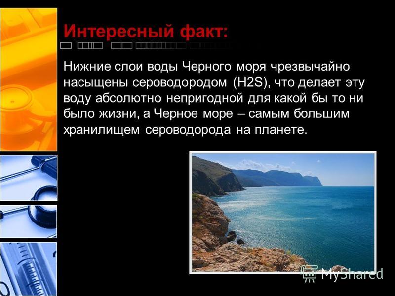 Черное Море Интернет Магазин