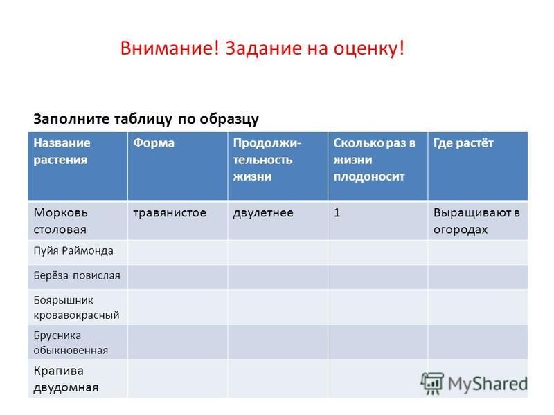 Таблица название растений жизненная форма