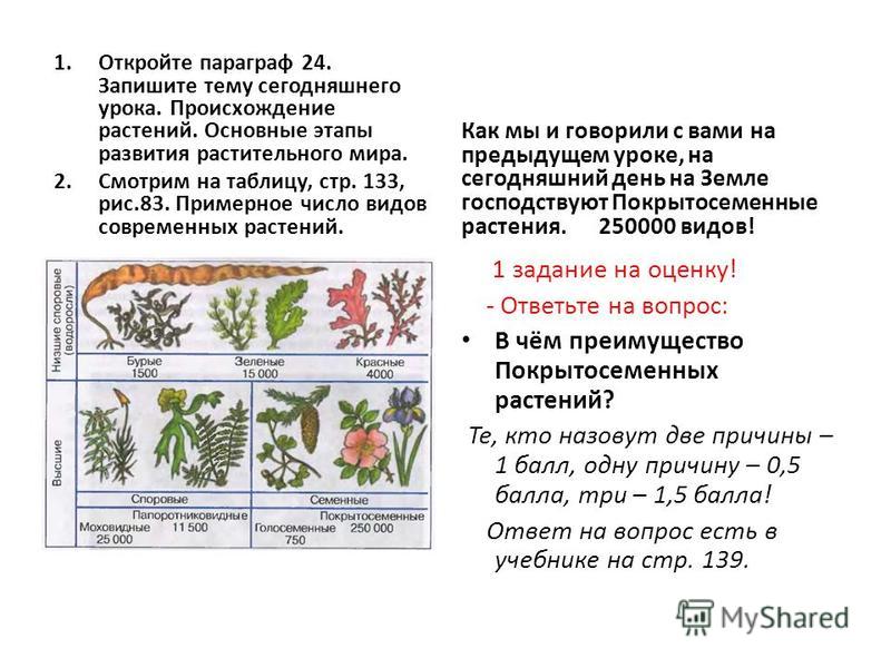Проект развитие растительного мира Развитие растительного мира земли зеленые водоросли красные водоросли рассмотрит