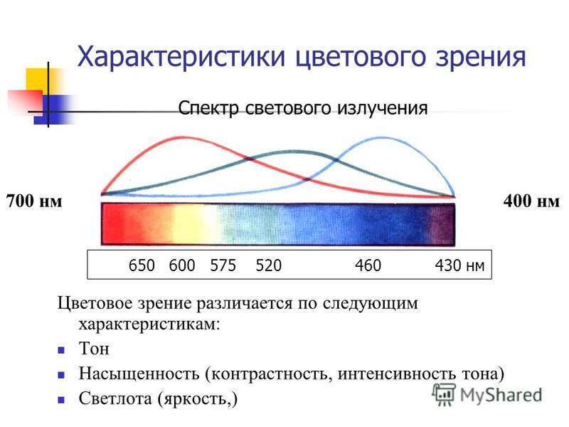 Цветовое зрение схема