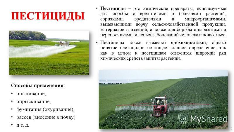 Для чего в сельском хозяйстве применяют пестициды