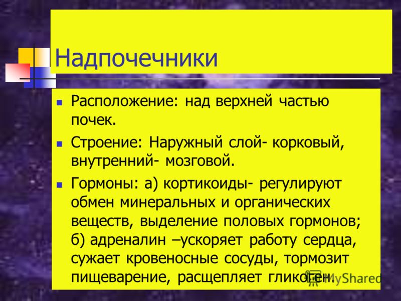 Не переставая болит живот у взрослого