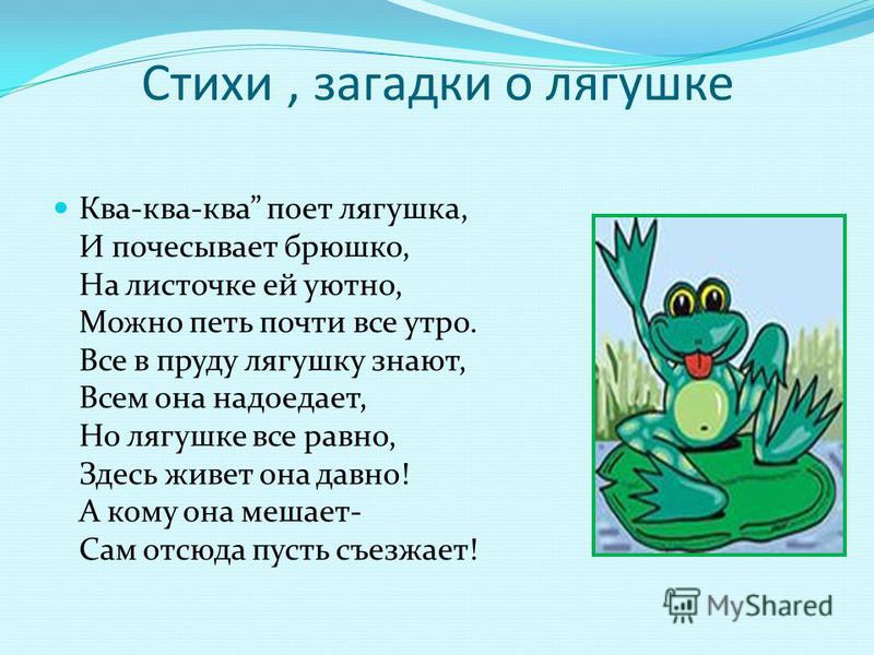 Стих на украинском про жабу Стих на украинском про жабу