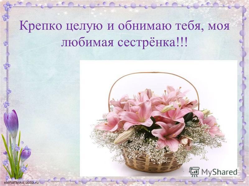 Поздравления кузену с днем рождения в прозе Поздравления кузену с днем рождения в прозе