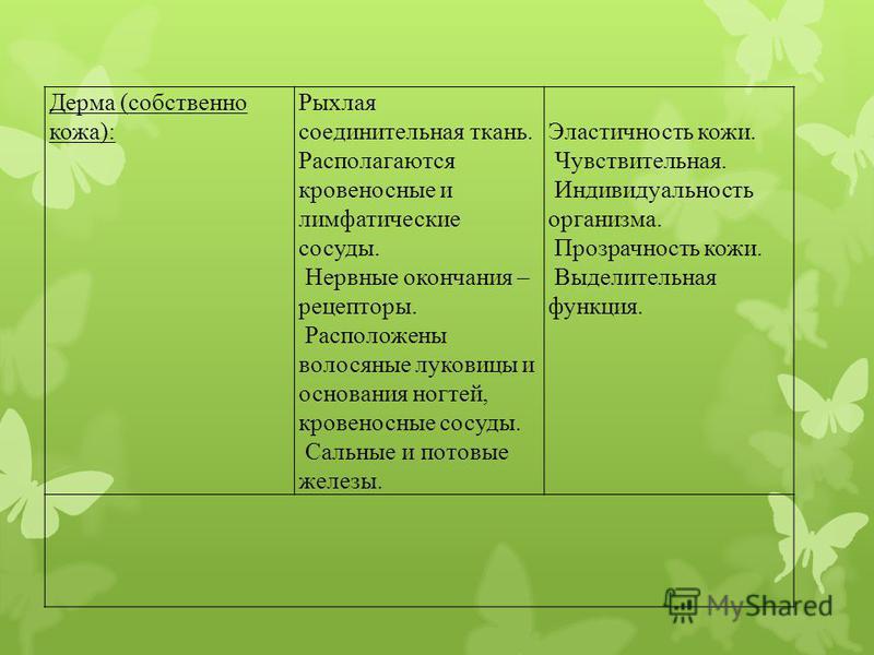 Потовые и сальные железы кожи функции Потовые и сальные железы кожи функции