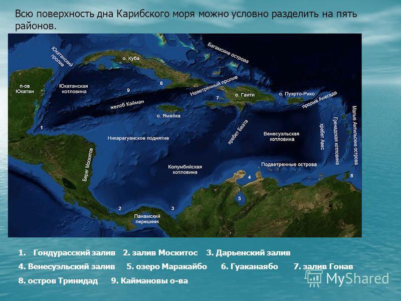 Карты Карты