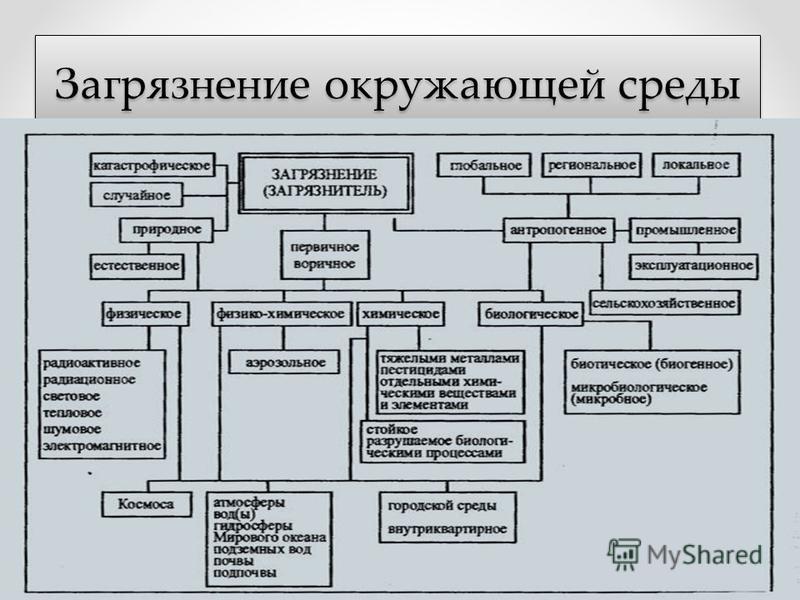 Проекты загрязнение окружающей среды