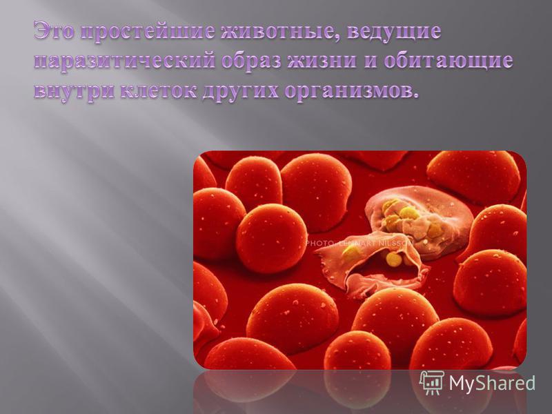 как выходят паразиты из организма как выходят паразиты из организма