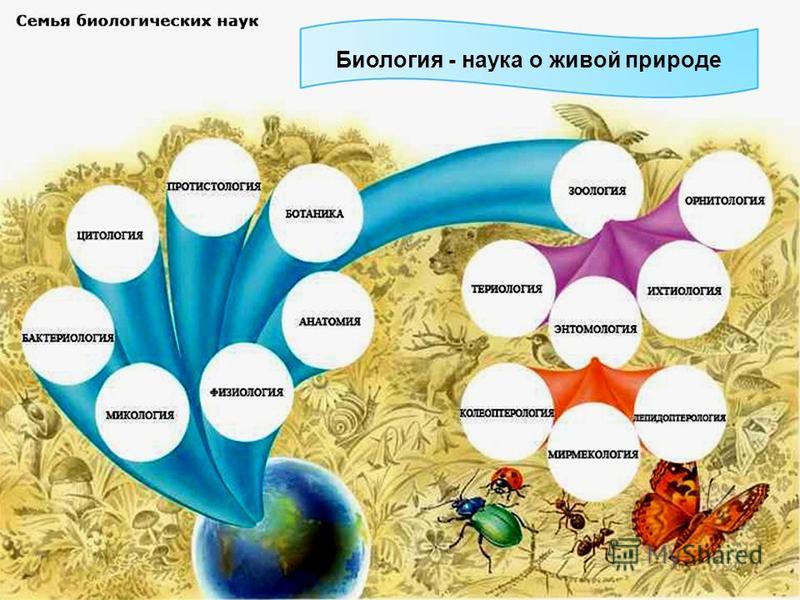 Технологическая карта биология наука о живой природе