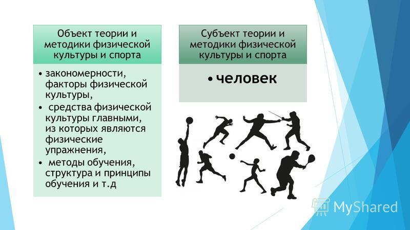 Курамшина теория и методика физической культуры