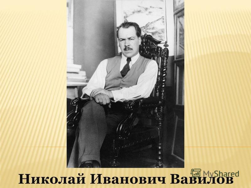 Доклад: Вавилов Николай Иванович