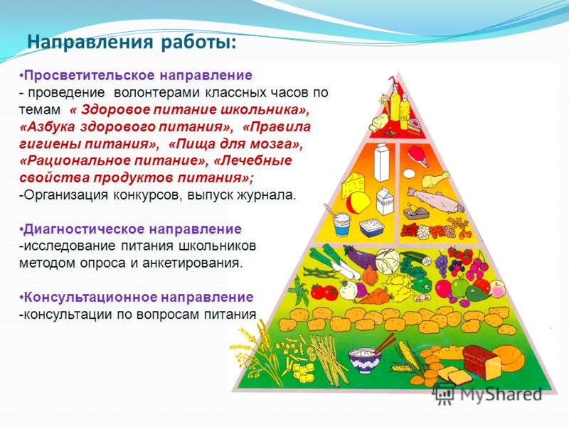 азбука здорового питания азбука здорового питания