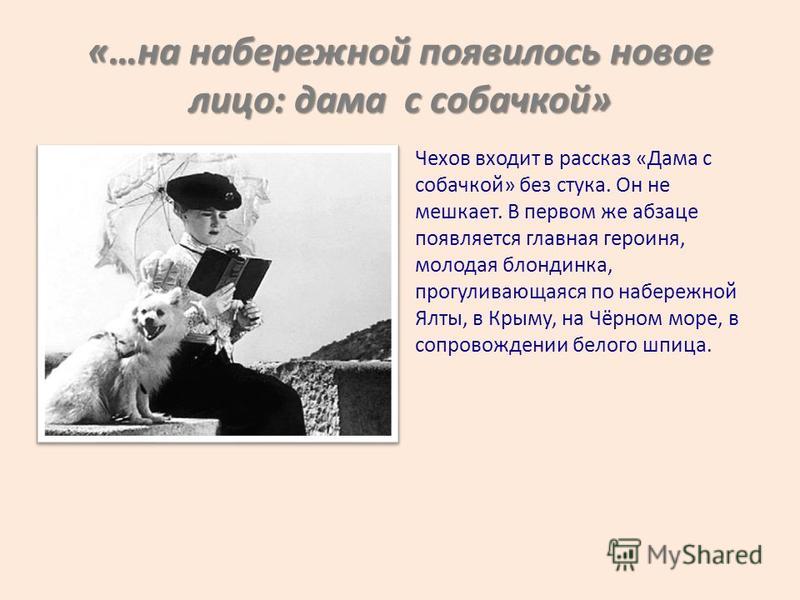 Сочинение по теме Рассказ А.П. Чехова 'Дама с собачкой'
