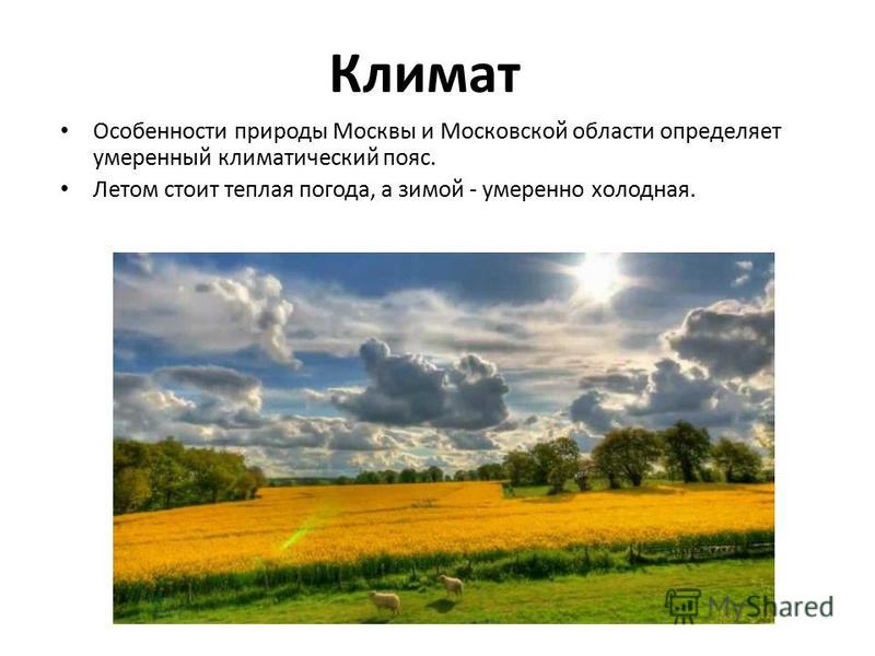 Защити заповедник