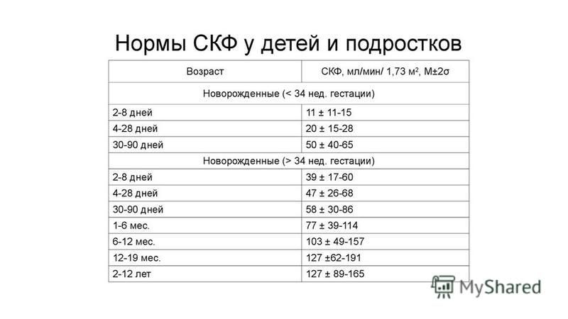 Курсовая Работа На Тему Хроническая Почечная Недостаточность Курсовая Работа На Тему Хроническая Почечная Недостаточность
