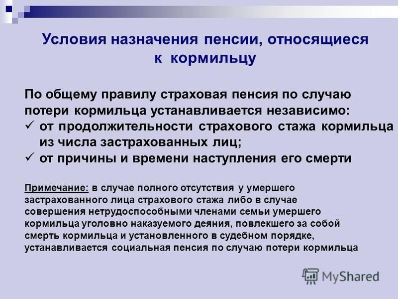 Курсовая Работа По Теме Социальные Пенсии Нетрудоспособным Курсовая Работа По Теме Социальные Пенсии Нетрудоспособным
