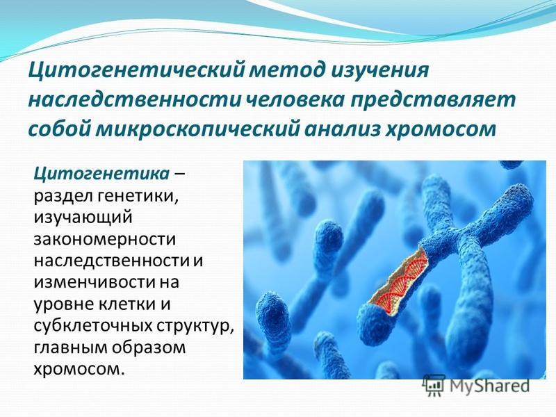 Цитогенетический метод картинки - Olphoto.ru
