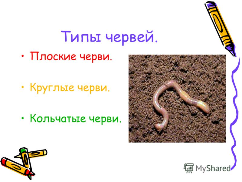 очиститься от паразитов таблетки очиститься от паразитов таблетки