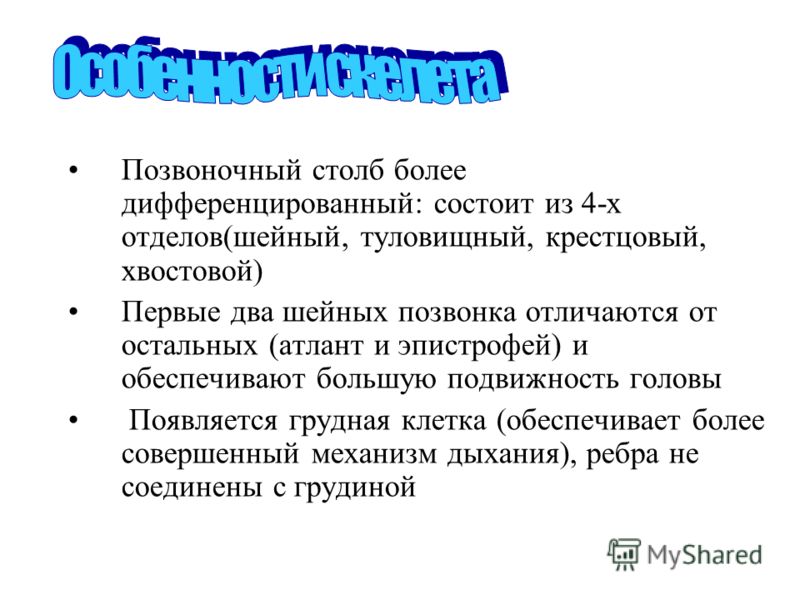 Места связанные с камнями Места связанные с камнями