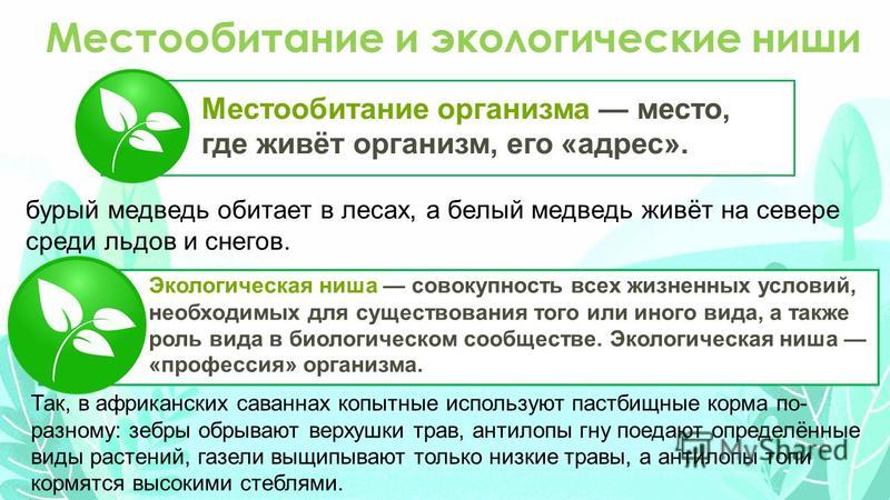 Экологическая ниша - ГДЗ и ответы Переучка.ру