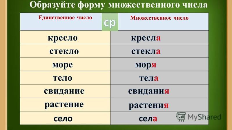Единственное и множественное число примеры