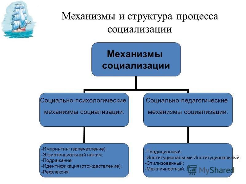 Два примера стихийной социализации Механизмы социализации презентация