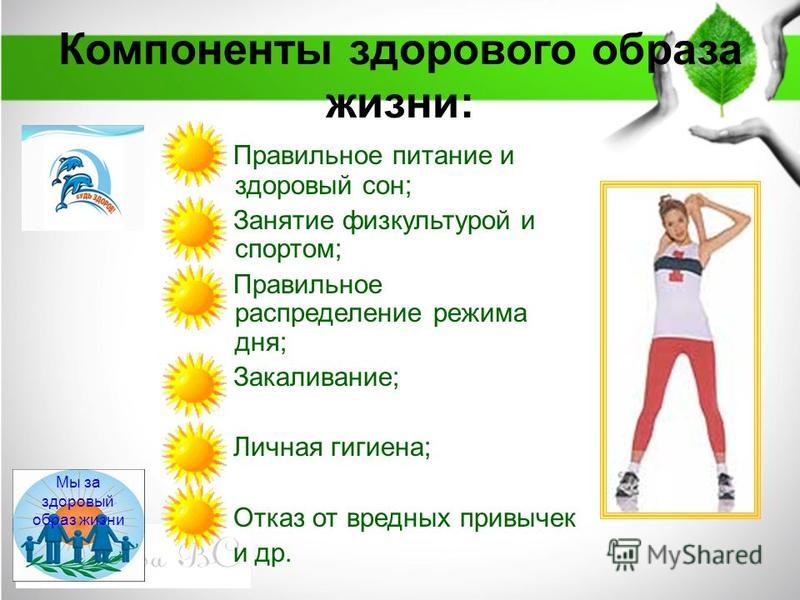 Компоненты здорового образа жизни картинки Fotopanoram.ru