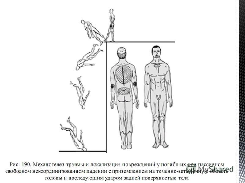 Траектория падения с высоты