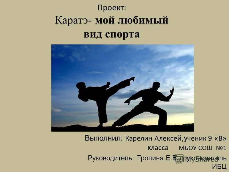 Проект про карате в детском саду Презентация мой любимый вид спорта каратэ