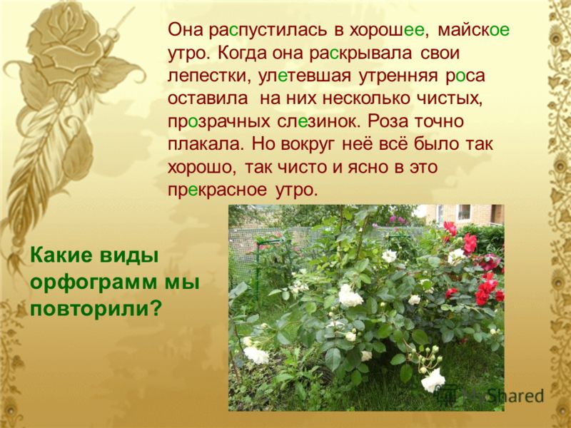 http://images.myshared.ru/112246/slide_7.jpg