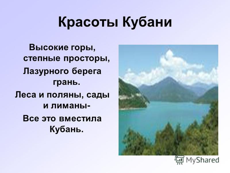 Конкурсы на свадьбу свидетелей прикольные Конкурсы на свадьбу свидетелей прикольные