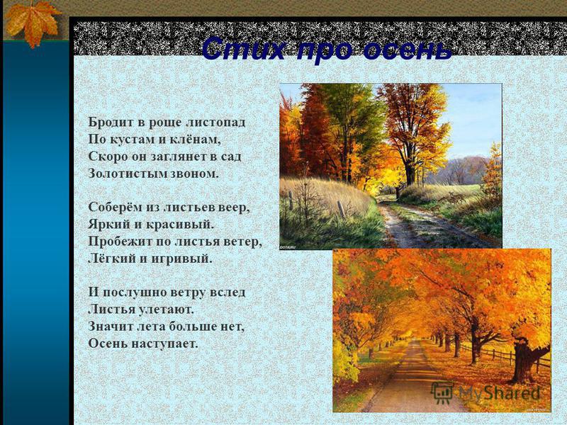 Красивый стих все проходит Красивый стих все проходит