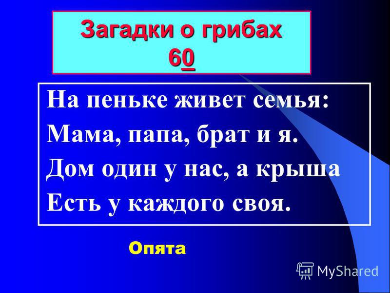 Решетка радиатора на опель Решетка радиатора на опель