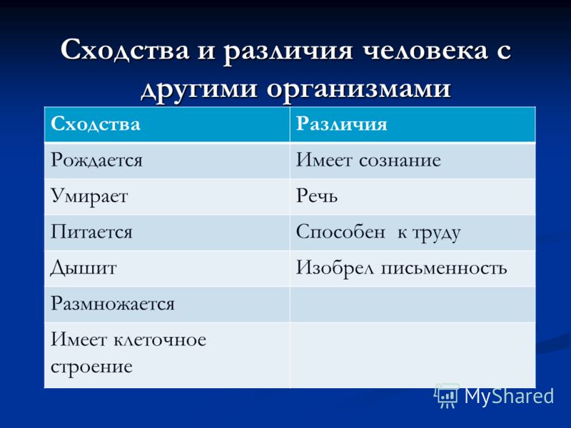 Рабочая программа кружка по декоративно прикладному искусству