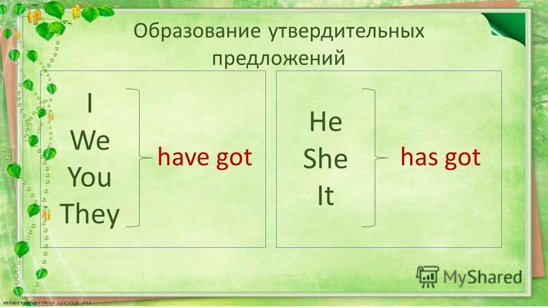 Английский язык has got have got примеры Презентация на тему have got has got