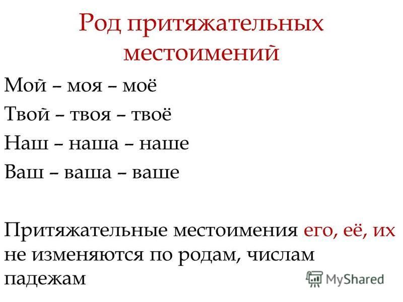 Презентация притяжательные местоимения 6 класс - Basanova.ru