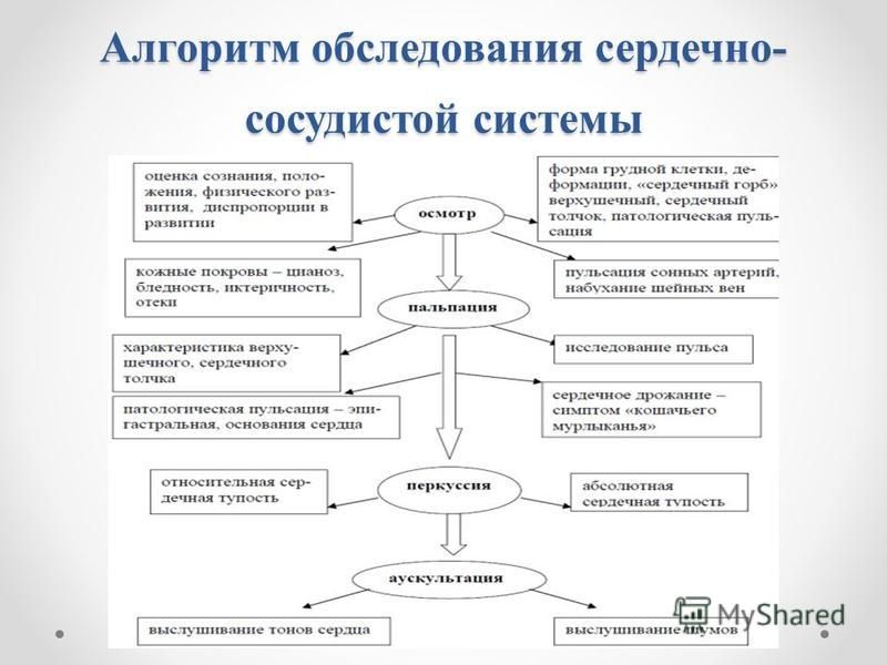 Пропедевтика сердечно сосудистой системы презентация