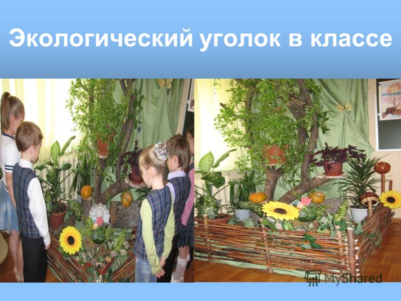 Земля вампиров КиноПоиск Бесплатные игры для