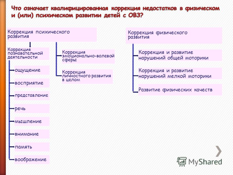Программа эмоционально волевая сфера