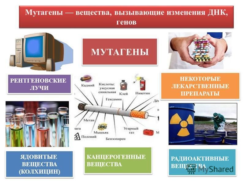 Какой пример можно привести для мутагенного фактора