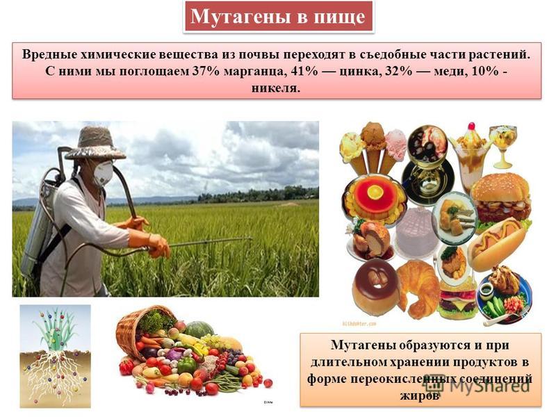 Мутагенные вещества список - TouristMaps.ru