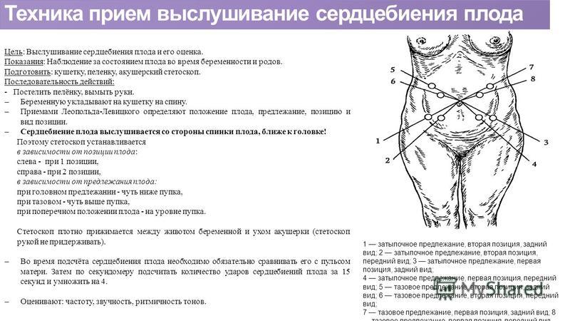 Как Прослушать Сердцебиение Плода В Домашних Условиях