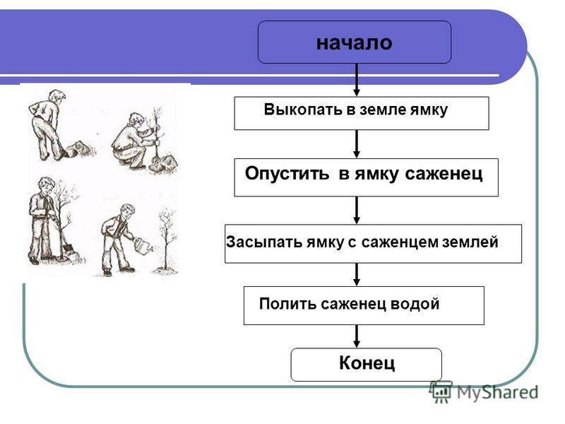 Босова алгоритмы презентация