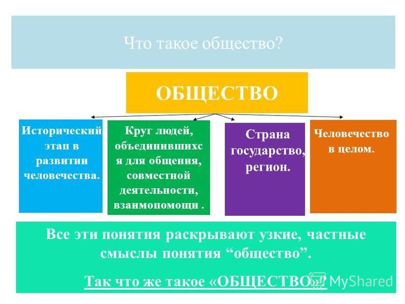 План что такое общество